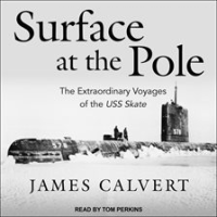 Surface_at_the_Pole
